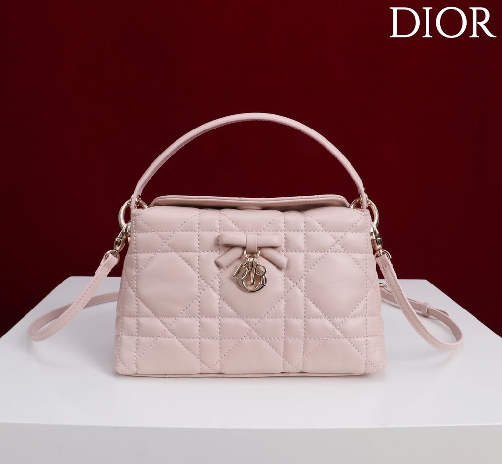 Dior Toujours Hobo Bag pink