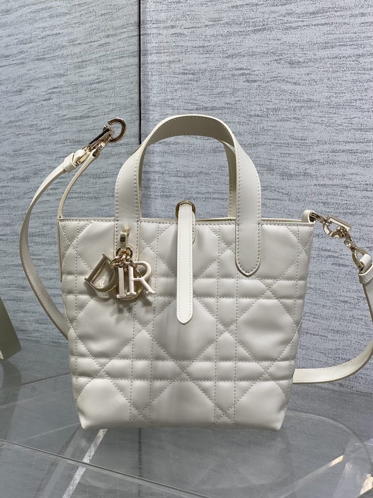 Diorly Bag