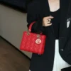 imgi_24_O1CN010JBI711pd0kI1Eh8l_!!2221591975382-0-cib.jpg_ D Style Lambskin Diana Bag