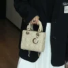 imgi_27_O1CN01po2Iyb1pd0kIpzvQd_!!2221591975382-0-cib.jpg_ D Style Lambskin Diana Bag